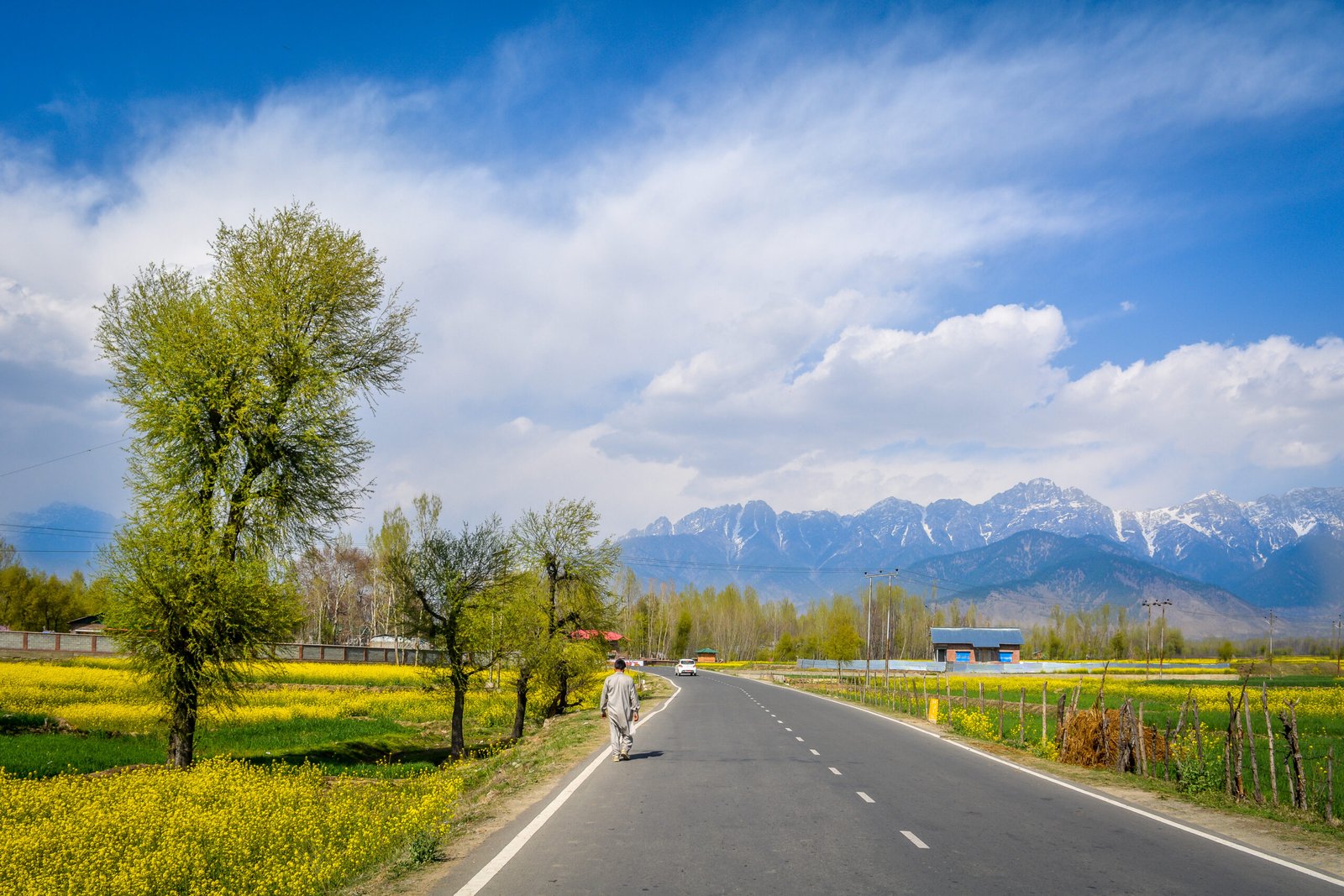 moving towards Pahalgam, Kashmir with spectacular view of mustard fields around. spring gives such a lovely landscape that you cant forget.